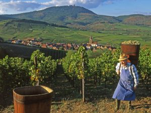 Canada Fête des vendanges 2016