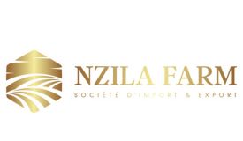 Nzila Farm web