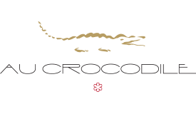 logo crocodile