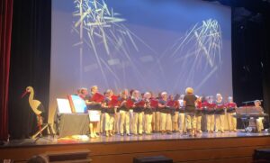 JA annuelle Reichshoffen spectacle